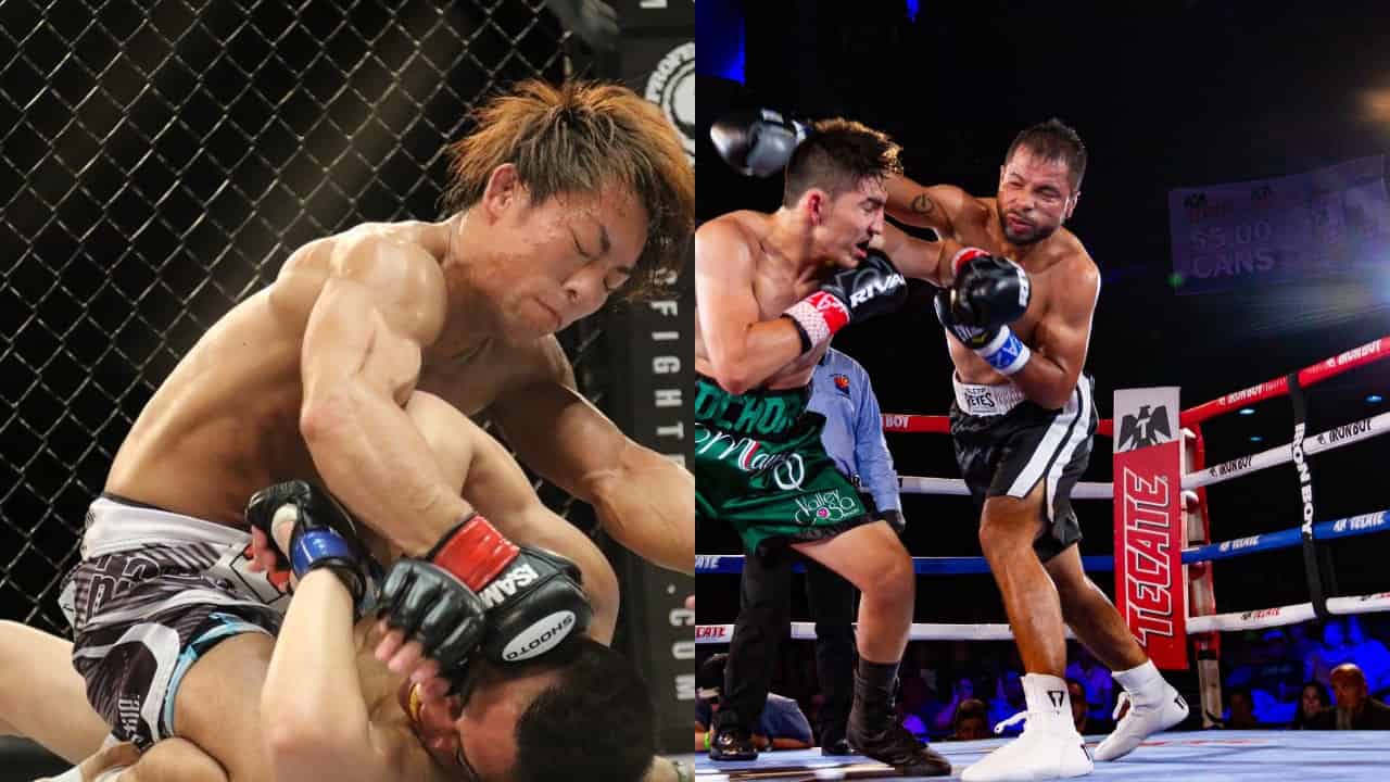 mma_boxing_combined