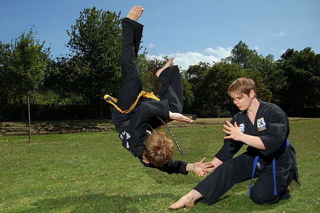 Kuk_Sool_Won-throwing