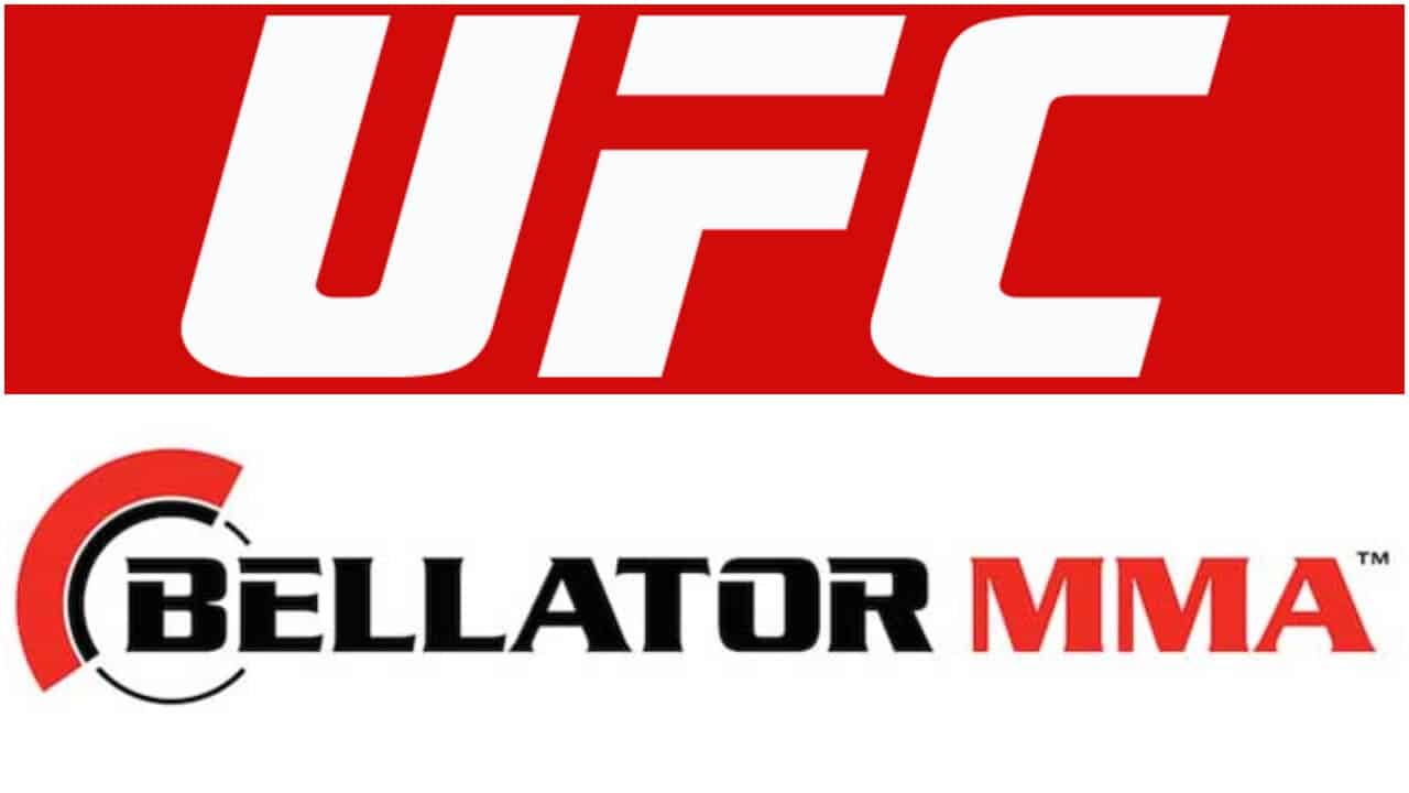 UFC vs Bellator: Key Differences Explained