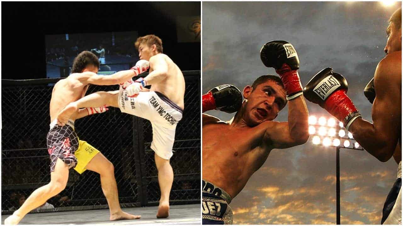 MMA_Boxing_which_popular