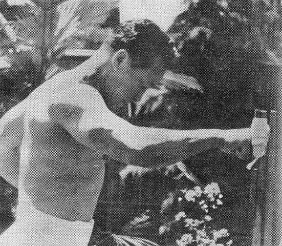 mas_oyama_kyokushin