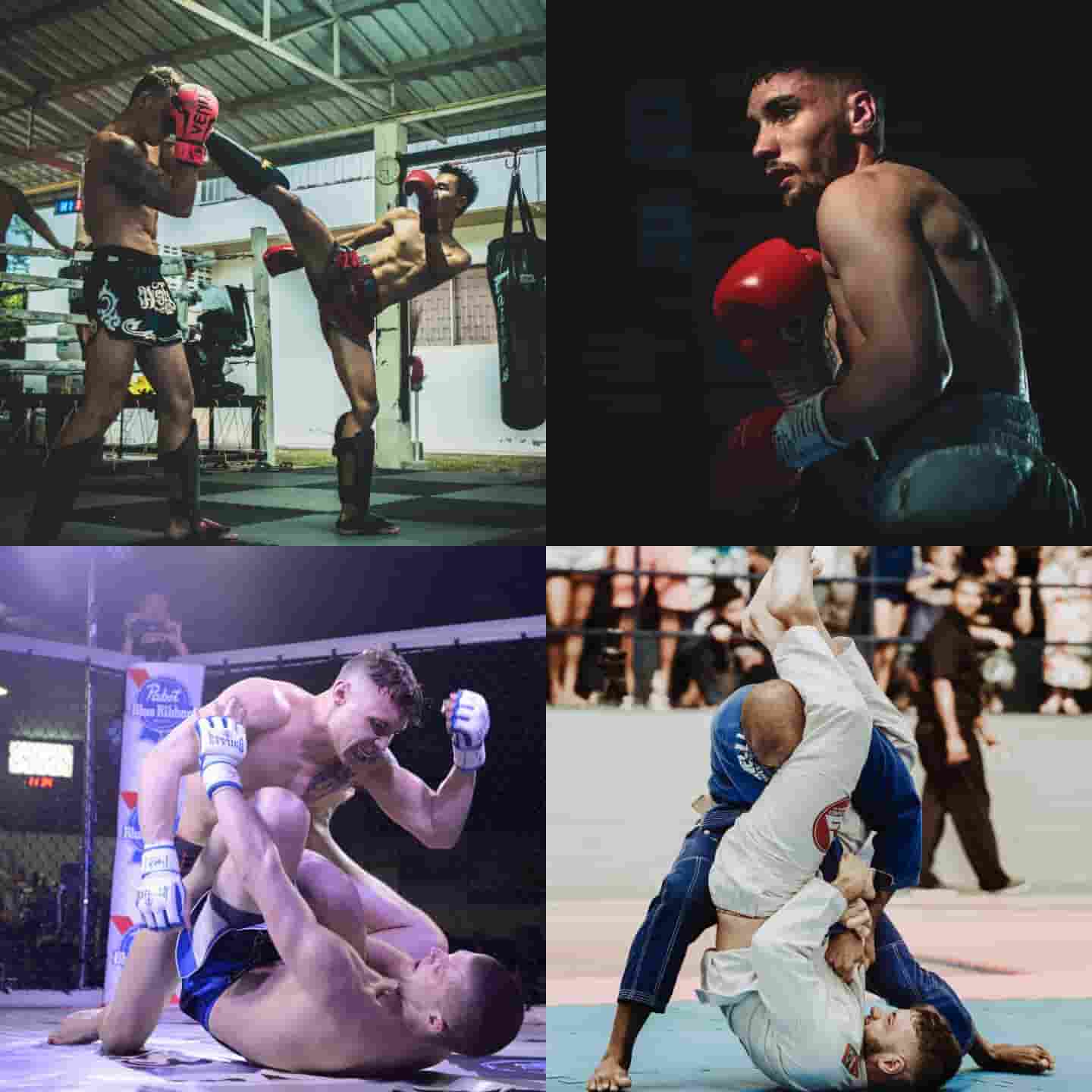 which_martial_arts
