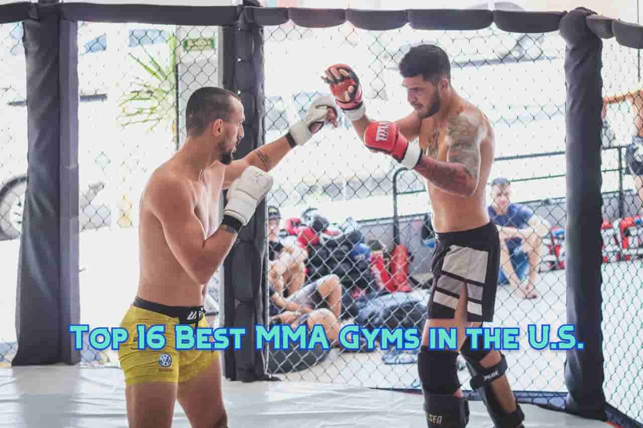 Top 16 Best MMA Gyms in the U.S. – (What You Need to Know)