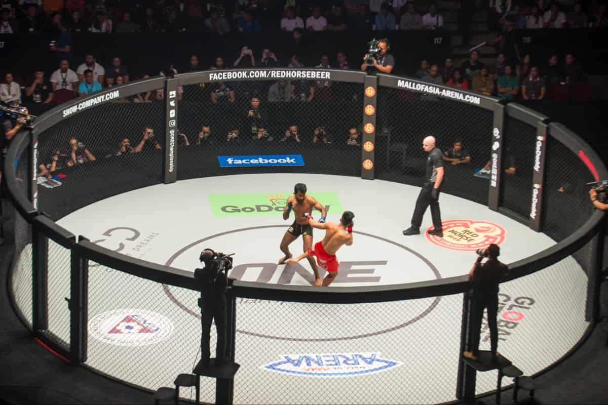 ONE_FC_overall_cage_view